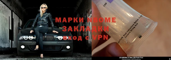 PSILOCYBIN Белокуриха