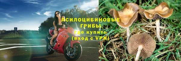 PSILOCYBIN Белокуриха