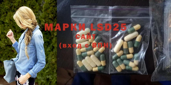 PSILOCYBIN Белокуриха