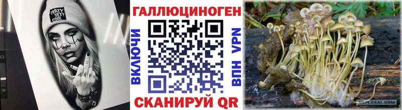 Галлюциногенные грибы мицелий  Купить где  Кстово 
