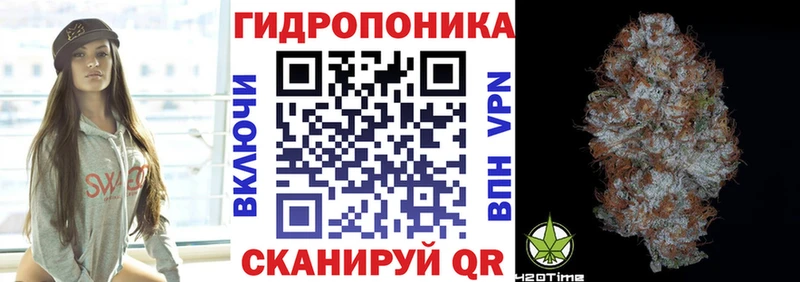 Конопля ГИДРОПОН  Купить где  Кстово 